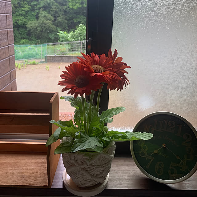 megaphonic0510さんの実例写真