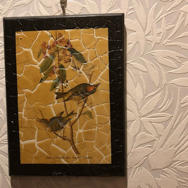 mamizaさんの部屋