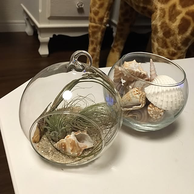 pippinさんの実例写真