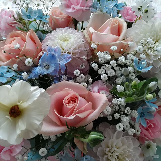 Laciyasuさんの部屋