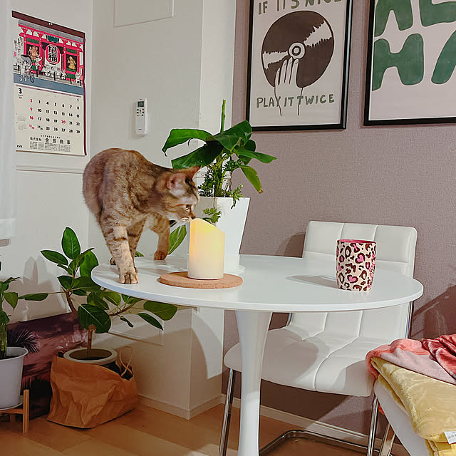 cocoさんの部屋