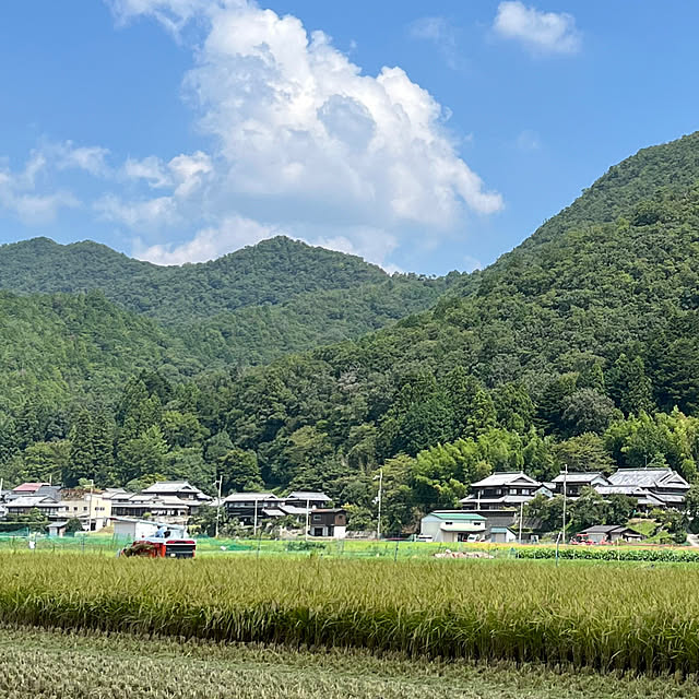 cota2さんの部屋