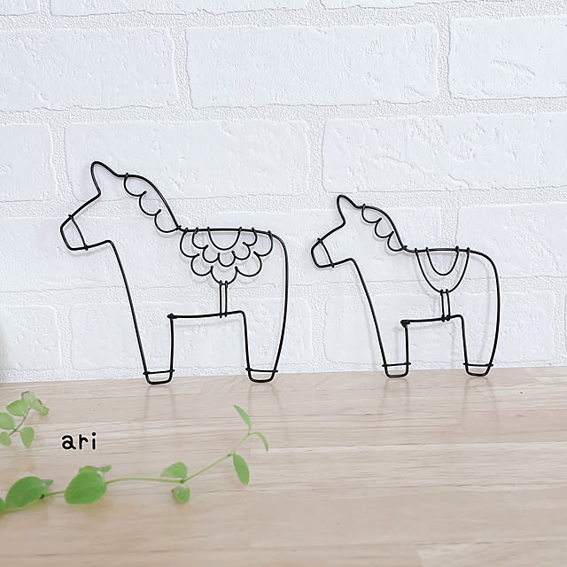 ARIさんの実例写真