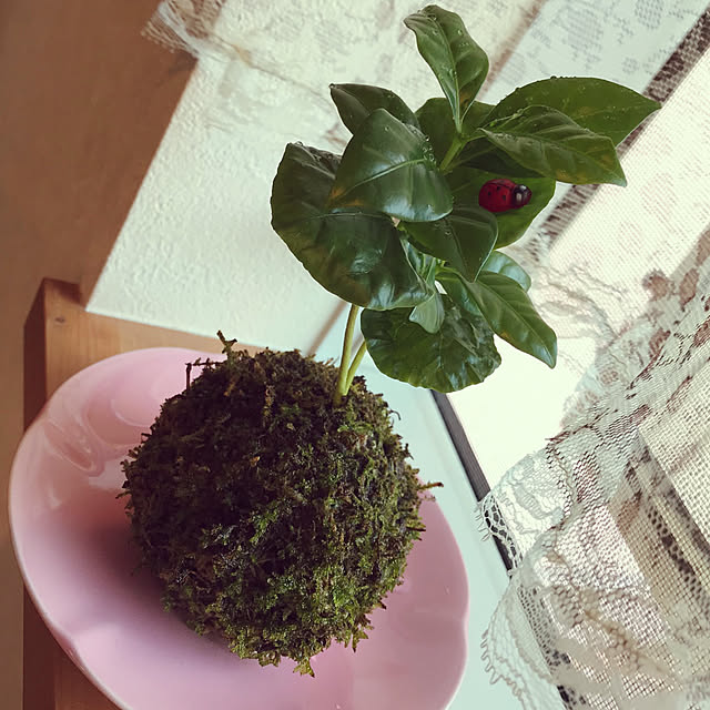 harvestさんの実例写真