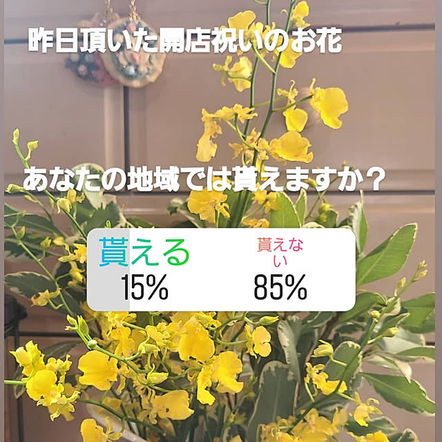 monnさんの実例写真