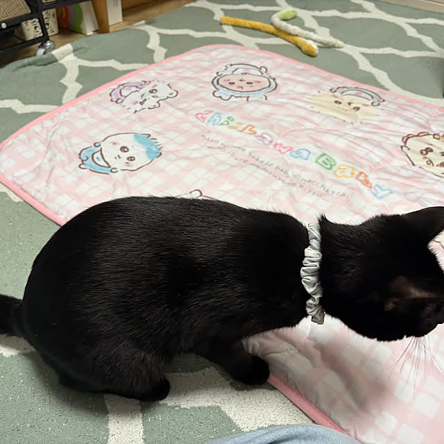 makiさんの実例写真