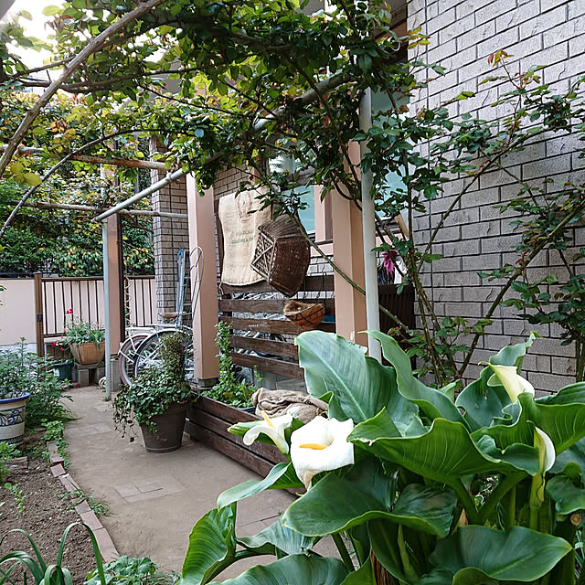 botanさんの実例写真