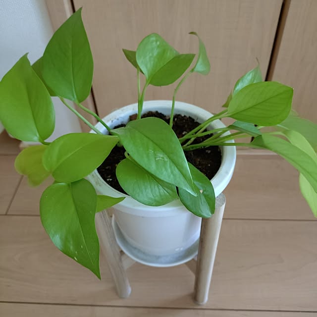 happytearsさんの部屋