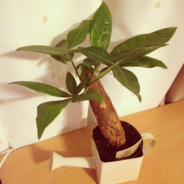 mariさんの実例写真