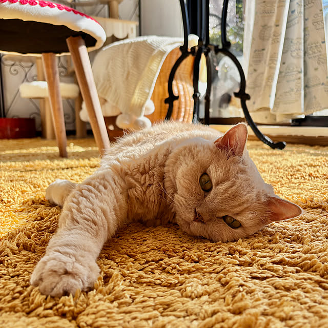 naokoさんの部屋