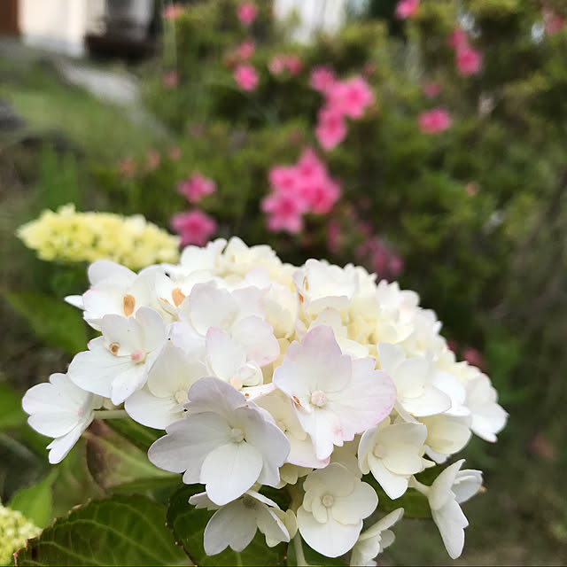 Nagakoさんの実例写真