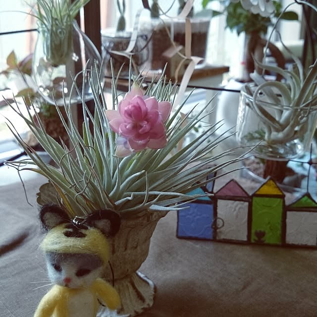 rookier05さんの実例写真