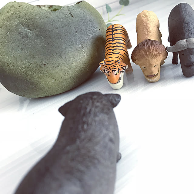 riakanaさんの実例写真