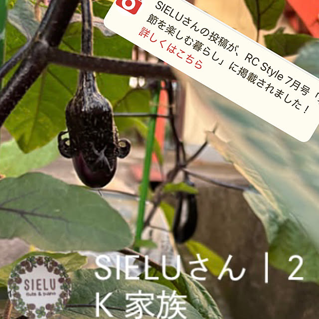 SIELUさんの実例写真