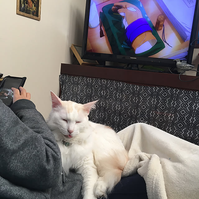 shigimiさんの実例写真