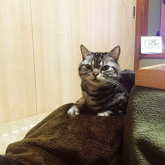 richanさんの実例写真