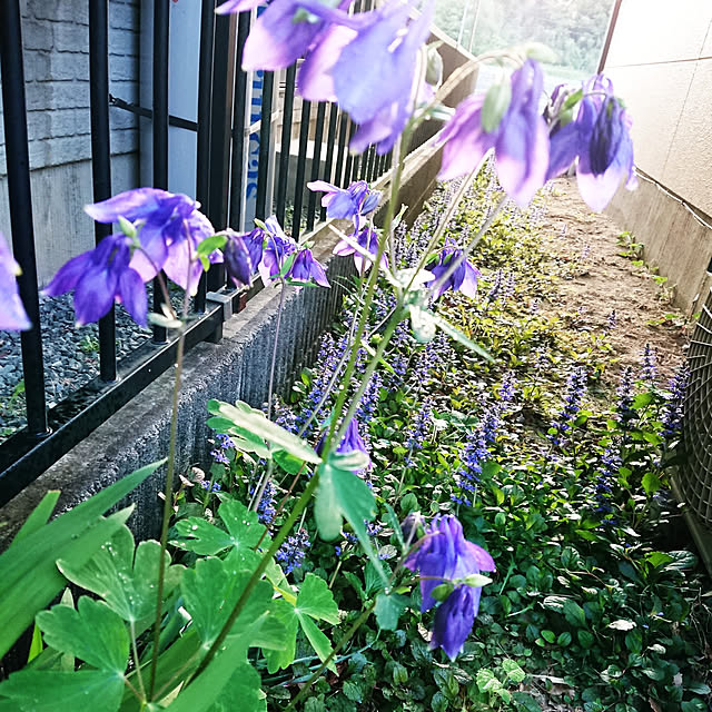 nachiさんの実例写真