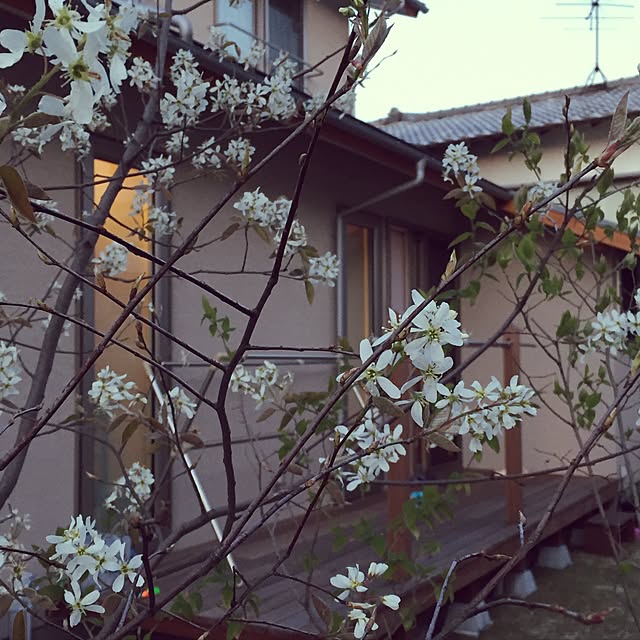 johnp._.qtotoさんの実例写真
