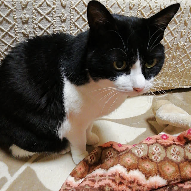 Tomopさんの実例写真