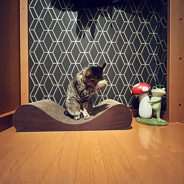 Mさんの実例写真