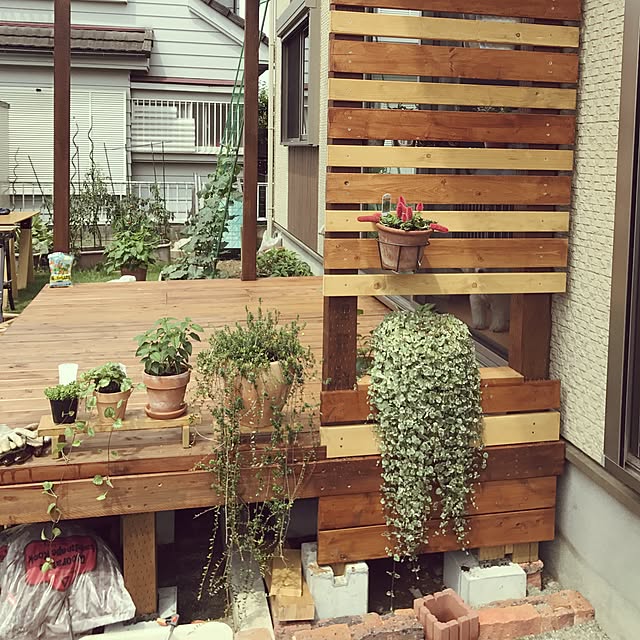 kujiraさんの実例写真