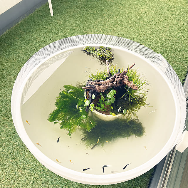 nanakoさんの部屋