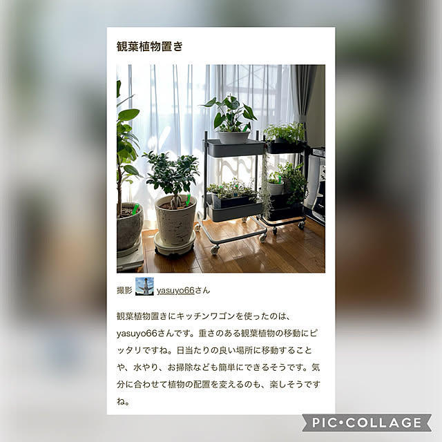yasuyo66さんの実例写真