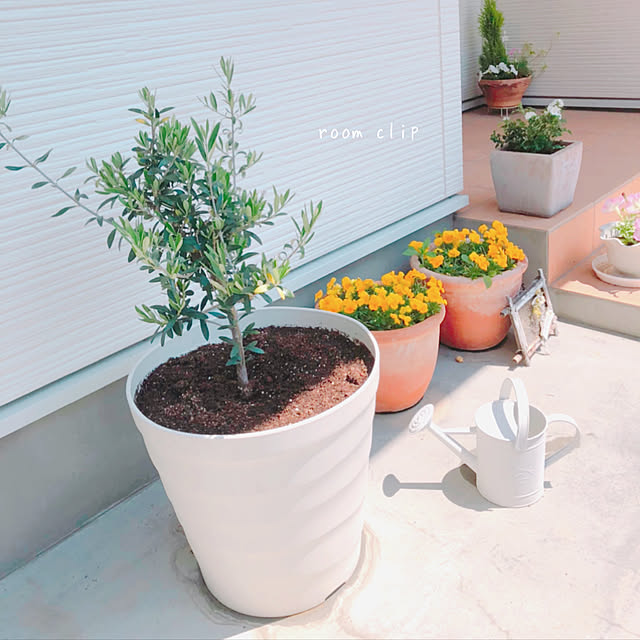 kinaさんの実例写真