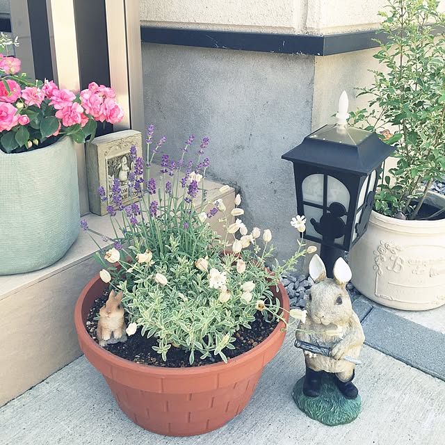 kokemomoさんの実例写真