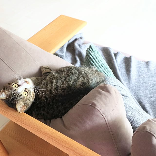 hanacocoさんの部屋