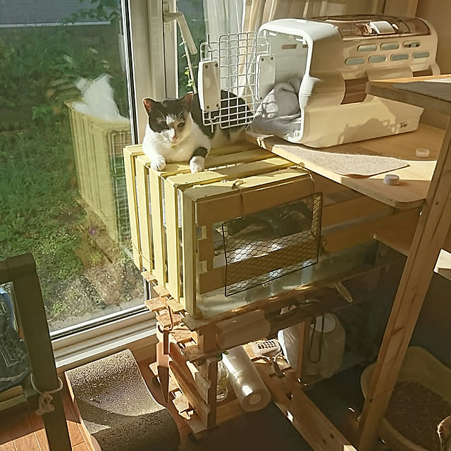 SHIHOさんの実例写真