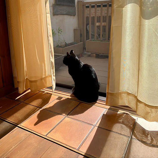 tabasaさんの実例写真