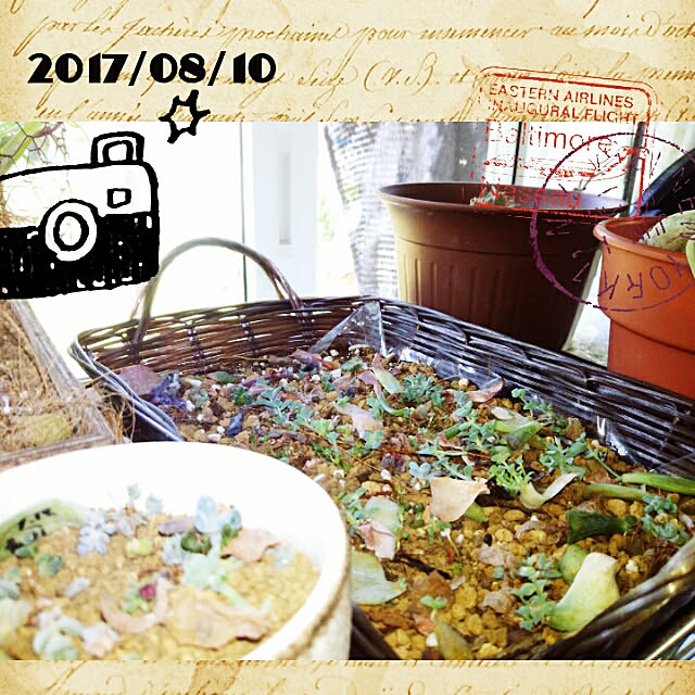 bousuke.215112さんの実例写真
