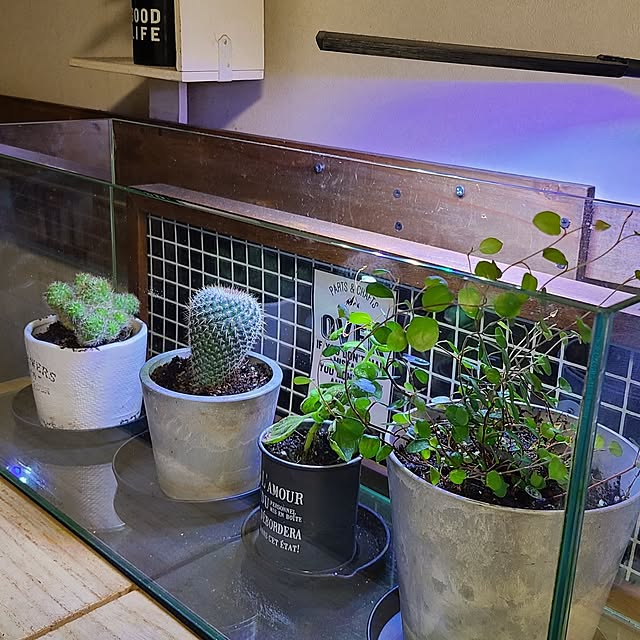 opiopiopiさんの部屋