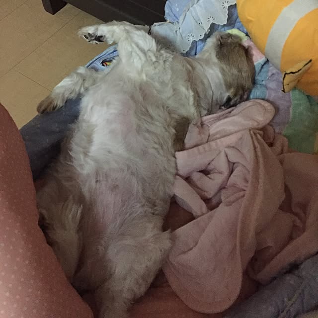 emiさんの実例写真