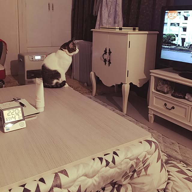Shihoさんの実例写真