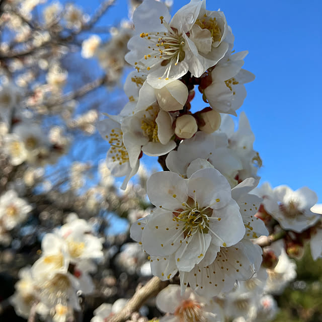 Nagakoさんの部屋
