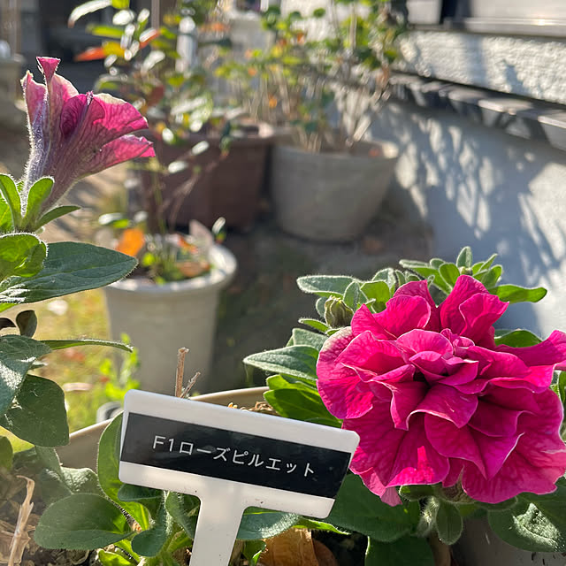 natsumiさんの実例写真