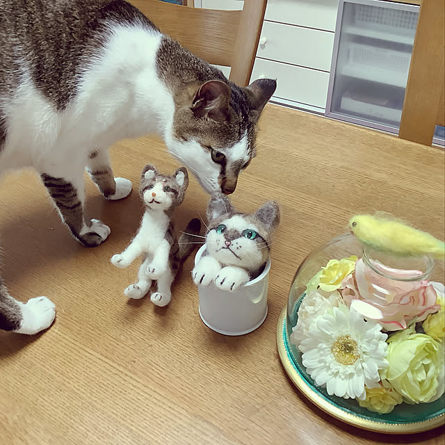 haruminさんの実例写真