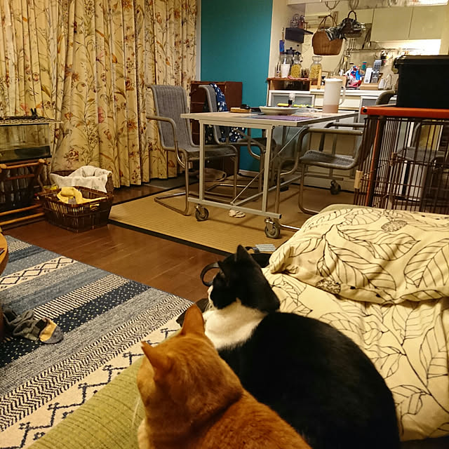 okyosan101さんの実例写真