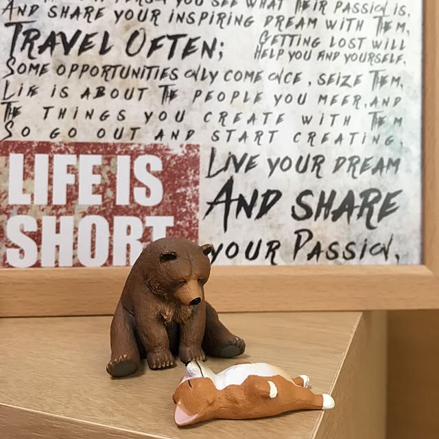 CHIROさんの実例写真