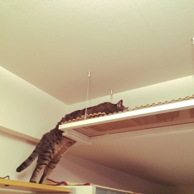 6さんの実例写真