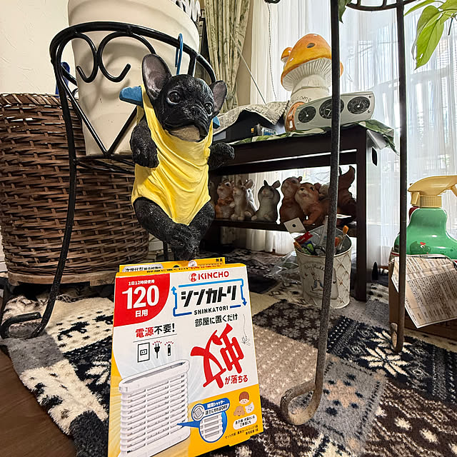 Aqettyさんの部屋