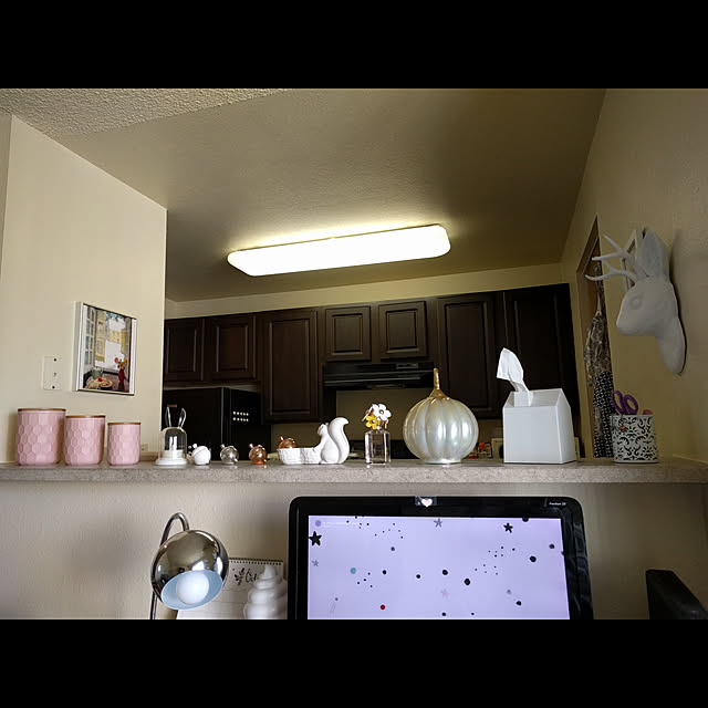 blinkie_003さんの実例写真