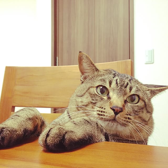 jinpachi59さんの実例写真