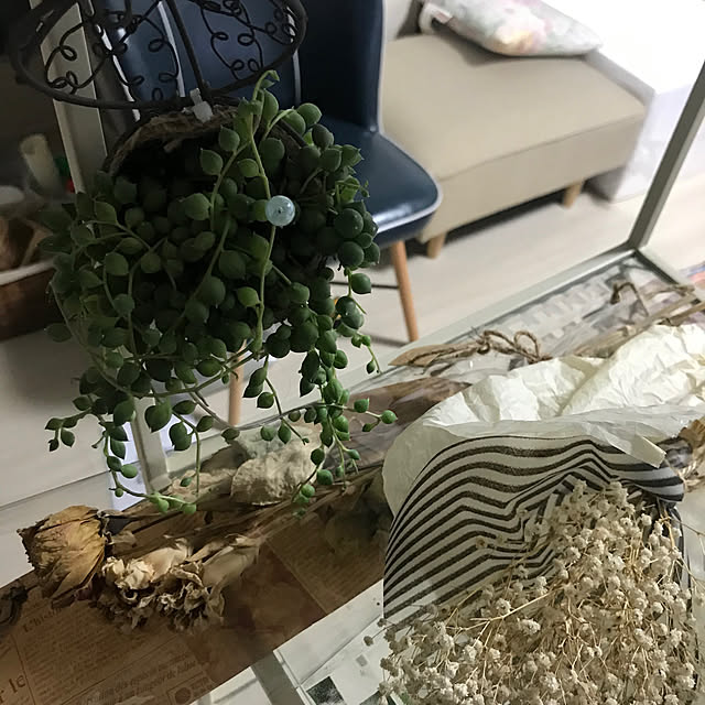 観葉植物/一人暮らし/ドライフラワー/棚のインテリア実例 - 2023-04-04 22:24:01