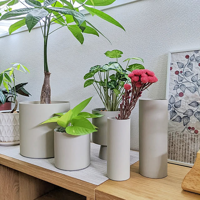 ayamameさんの実例写真