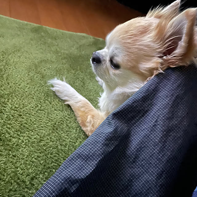 natsumiさんの部屋