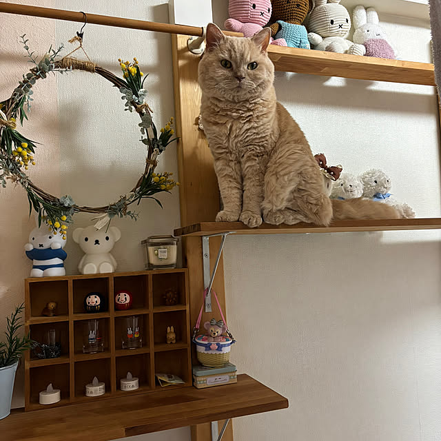 naokoさんの部屋