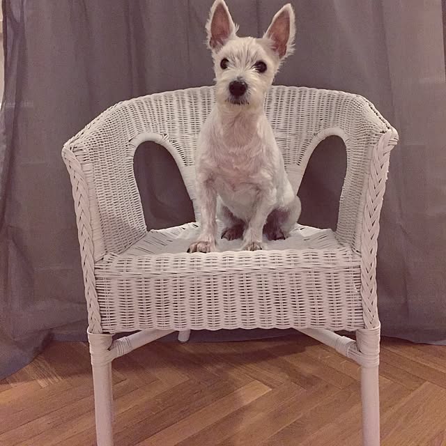 Rubanさんの実例写真